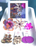 6. SEI & EARRINGS