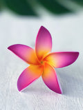 FRANGIPANI -S9