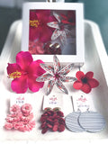 6. SEI & EARRINGS