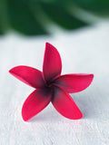 FRANGIPANI -S9