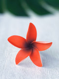 FRANGIPANI -S9