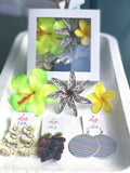6. SEI & EARRINGS