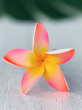 FRANGIPANI -S9