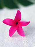 FRANGIPANI -S9