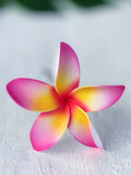 FRANGIPANI -S9