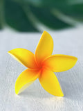 FRANGIPANI -S9