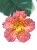 HIBISCUS -XL2