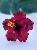 HIBISCUS -L8