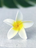 FRANGIPANI -S9