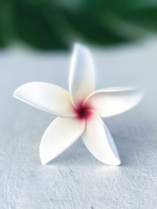 FRANGIPANI -S9