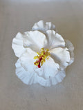 HIBISCUS -M3
