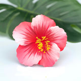 HIBISCUS -M7