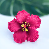 HIBISCUS -M2