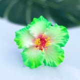 HIBISCUS -M2