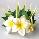 Hair clip -FRANGIPANI