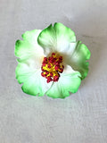 HIBISCUS-S1