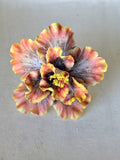 HIBISCUS -L8