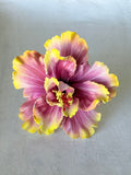 HIBISCUS -L8