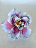 HIBISCUS -L8