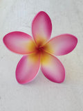 FRANGIPANI -M6