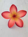 FRANGIPANI -M6