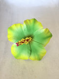HIBISCUS -M1