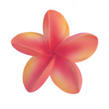 FRANGIPANI -M8