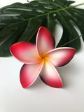 FRANGIPANI -S7