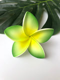 FRANGIPANI -S7