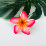 FRANGIPANI -S1