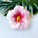 HIBISCUS -M7