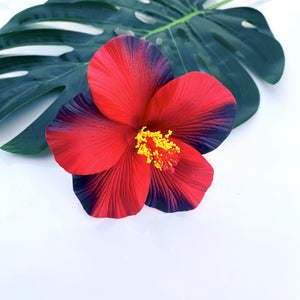 HIBISCUS -M1