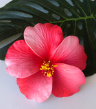 HIBISCUS -L3