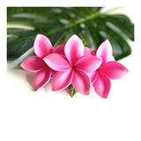 Hair clip -FRANGIPANI