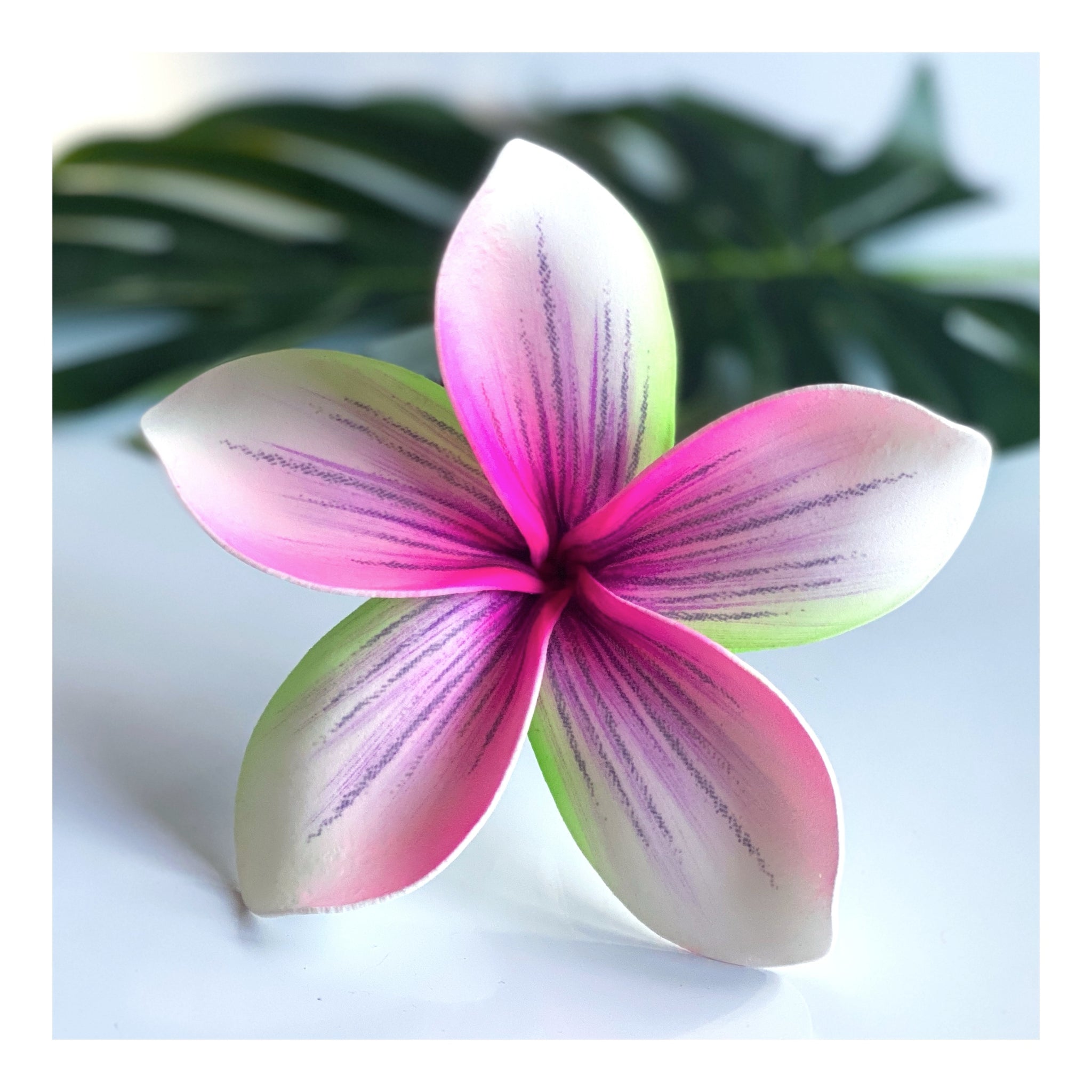 Frangipani Flower | Jo Malone London
