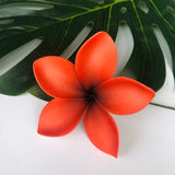 FRANGIPANI -S2