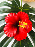 HIBISCUS -M5