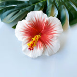 HIBISCUS -M7