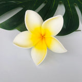 FRANGIPANI -S2