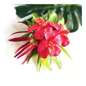 Hair clip -HIBISCUS