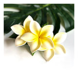 Hair clip -FRANGIPANI