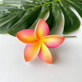 FRANGIPANI -S7