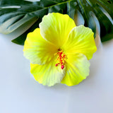 HIBISCUS -M7