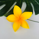 FRANGIPANI -S2