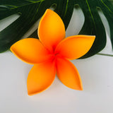 FRANGIPANI -S2