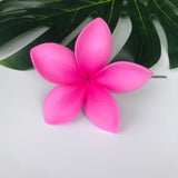 FRANGIPANI -S2