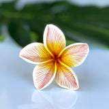 FRANGIPANI -S1