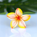 FRANGIPANI -S1