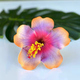 HIBISCUS -M8