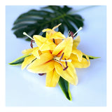 Hair clip -LILY